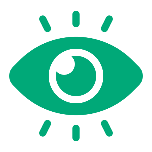 Our Vision icon